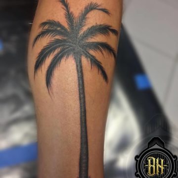 Black and Gray Tattoo Palm Tree Full Forearm