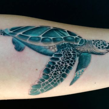 Color Work Tattoo Turtle