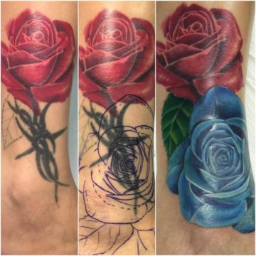 Cover Up Rose